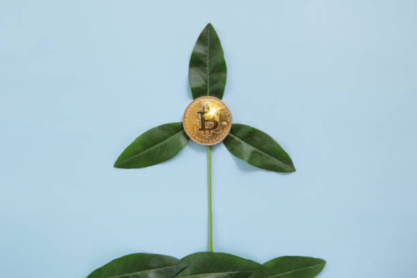 Crypto is becoming increasingly important in Ukraine and Russia - thanks to the war?