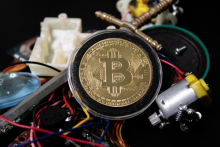 NFT Investor Sells CrypToad for 6