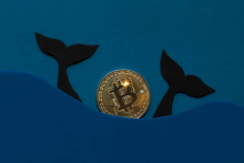 Cardano announces the new ADA Pay Plugin!